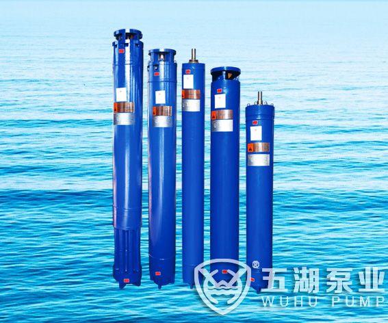 Submersible motors with RITZ Standard